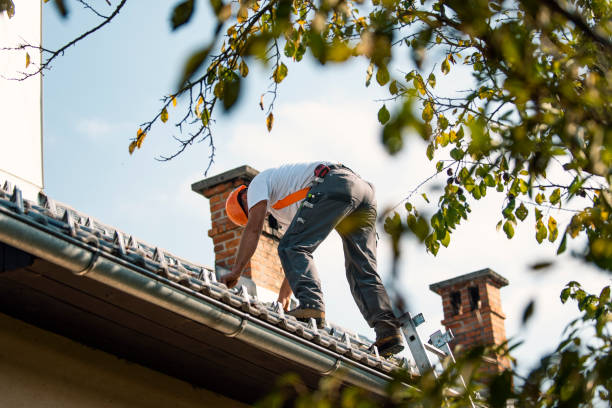 Best Roof Waterproofing Services  in Silver Springs Shores, FL