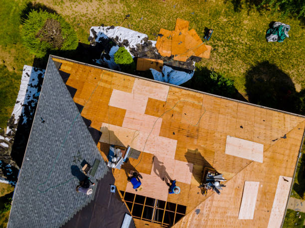 Best Roof Restoration Services  in Silver Springs Shores, FL