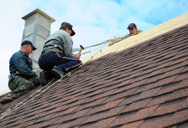 Best Roof Maintenance Services  in Silver Springs Shores, FL