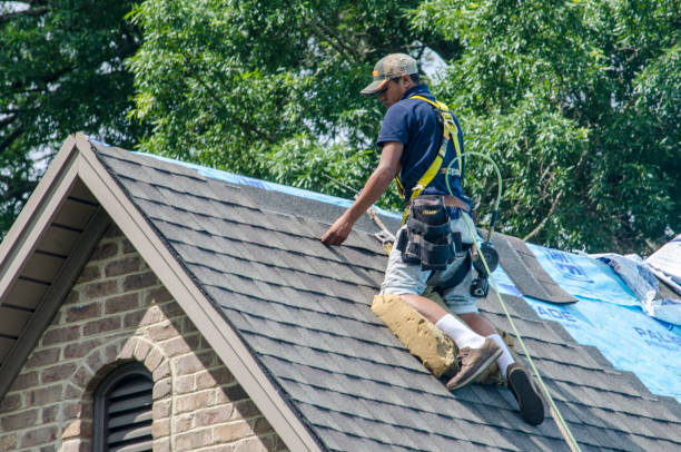 Best Roof Leak Repair  in Silver Springs Shores, FL